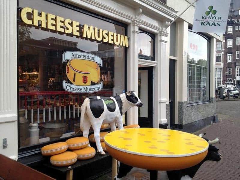 Veau 1 Wejście do Muzeum Sera w Amsterdamie z figurą krowy i imitacją sera.