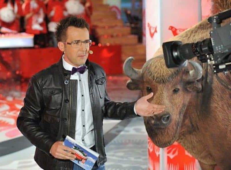 Bisons dans "Je t'aime Pologne" 3 Mężczyzna w okularach i skórzanej kurtce stoi obok wypchanego żubra w studiu telewizyjnym.