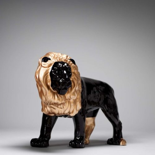 Lion à crinière dorée
