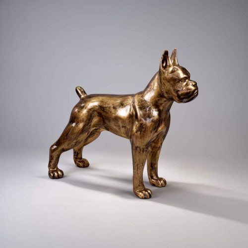Boxer debout L - Gold Patin