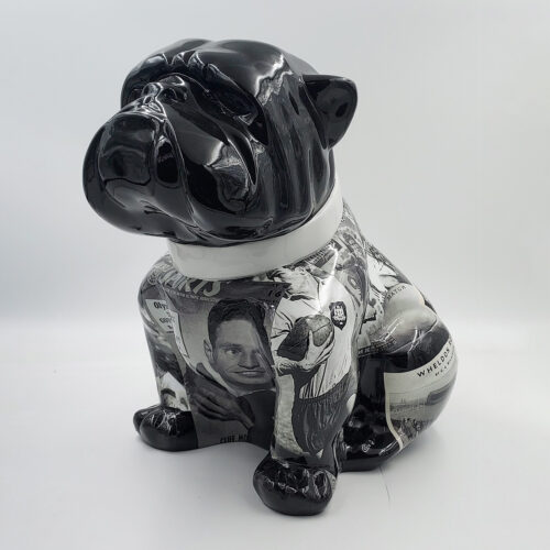 pies Bulldog Angelo 60cm - Rugby