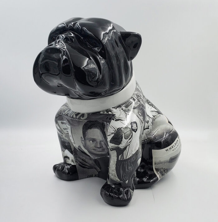 pies Bulldog Angelo 60cm - Rugby