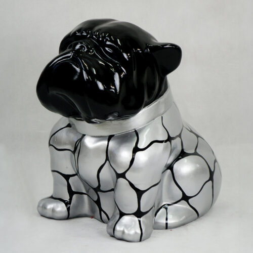 pies Bulldog Angelo 60cm - łaty
