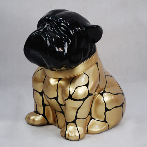 pies Bulldog Angelo 60cm - łaty