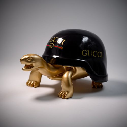 Tortue avec casque – G