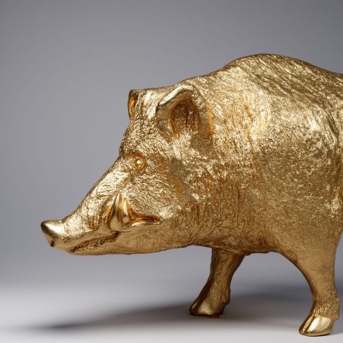 Sanglier Doré de Taille Réelle