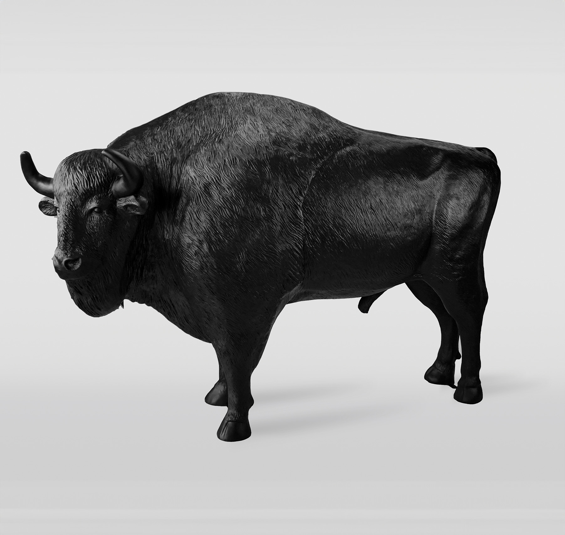 Bison pour la Zone Bison 2 bizon 1