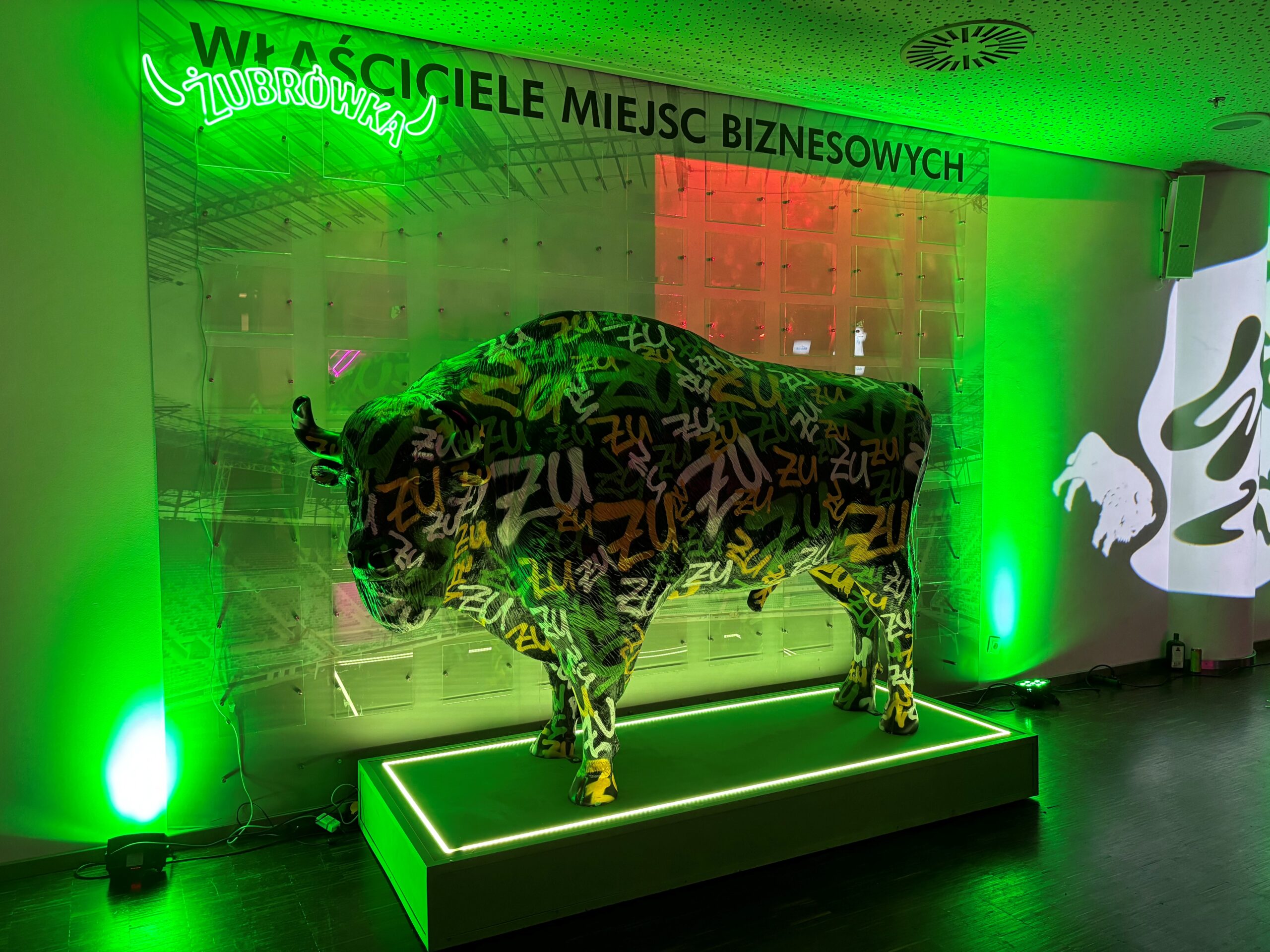 Bison pour la Zone Bison 1 bizon 3 scaled
