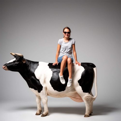 La figure d'une vache - maquette en 3D à taille réelle
