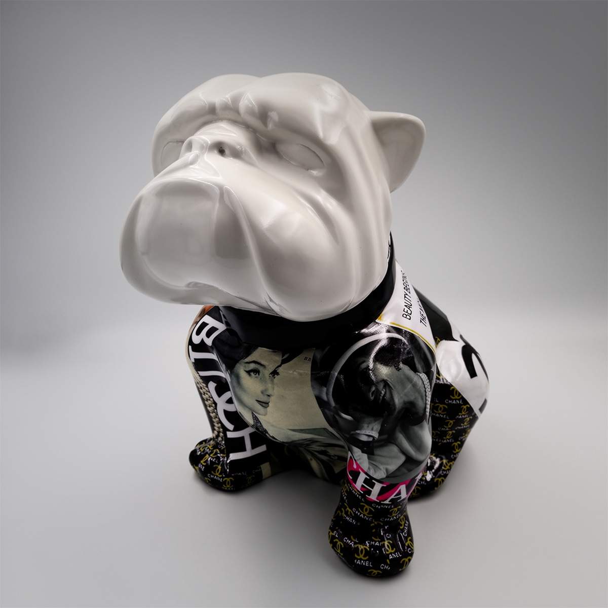 Bulldog Angelo Vogue